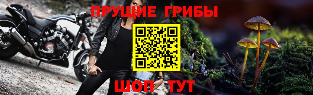 Полысаево  Галлюциногенные грибы мицелий  Вход с VPN 